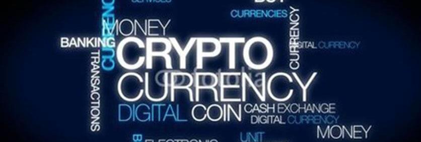 Making money in the crypto and blockchain